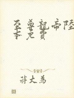 至尊龙帝陆鸣全本免费封面