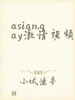 asian,gay激情视频