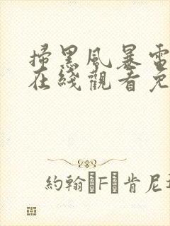 扫黑风暴电视剧在线观看免费完整版2021封面