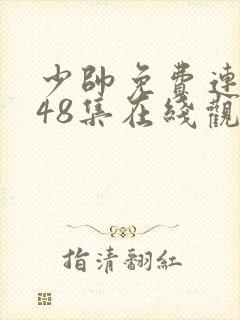 少帅免费连续剧48集在线观看