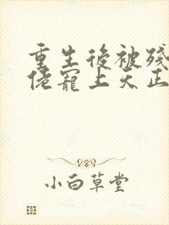 重生后被残疾大佬宠上天正版