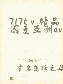 717tⅴ精品国产亚洲av成人