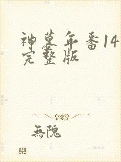 神墓年番14集完整版