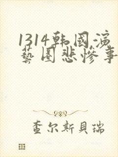 1314韩国演艺圈悲惨事件