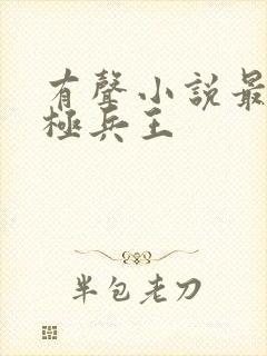 有声小说最强终极兵王