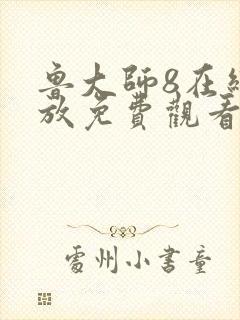 鲁大师8在线播放免费观看电视剧