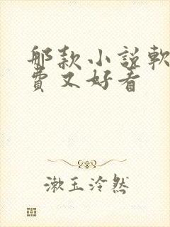 那款小说软件免费又好看封面