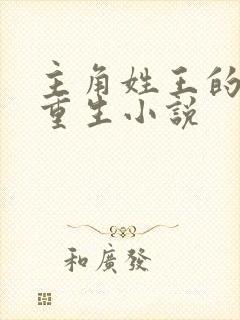 主角姓王的都市重生小说