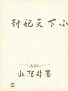 封妃天下小说封面