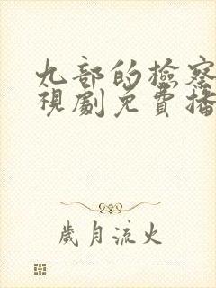 九部的检察官电视剧免费播放封面