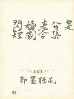 闪婚老公是豪门短剧合集封面