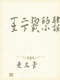 丁二狗的肆意人生下载小说全文