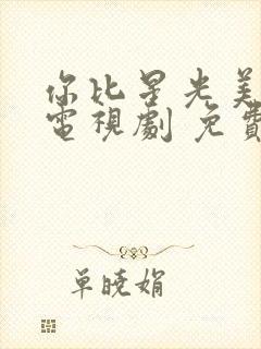 你比星光美丽 电视剧 免费观看封面