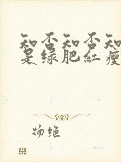 知否知否知否应是绿肥红瘦剧集