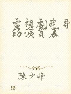 电视剧我哥我嫂的演员表