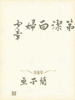 少妇白洁第十五章