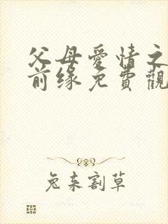 父母爱情之再续前缘免费观看全集高清