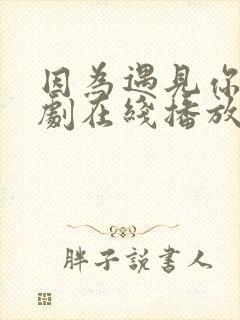 因为遇见你电视剧在线播放免费