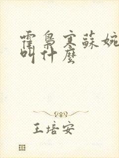 霍枭寒苏婉短剧叫什么封面