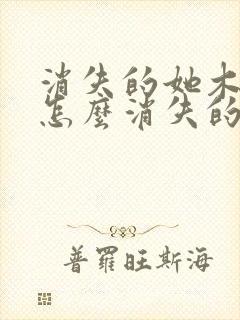 消失的她木子是怎么消失的封面