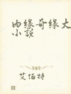 内缘奇缘大团圆小说