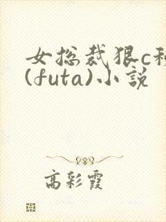 女总裁狠c秘书(futa)小说