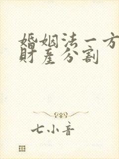 婚姻法一方出轨财产分割封面