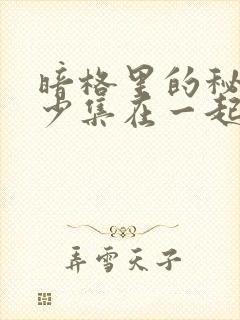 暗格里的秘密多少集在一起