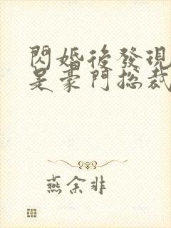 闪婚后发现老公是豪门总裁 全本