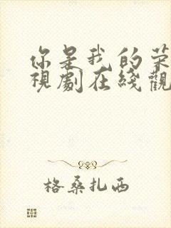 你是我的荣耀电视剧在线观看免费