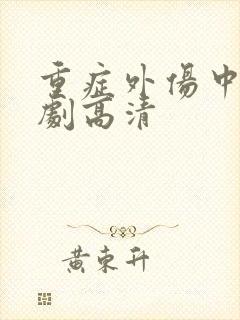 重症外伤中心韩剧高清