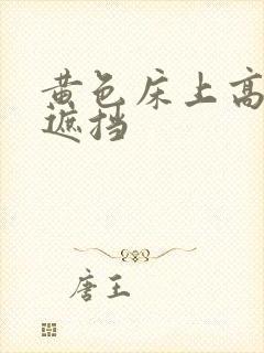 黄色床上高清无遮挡