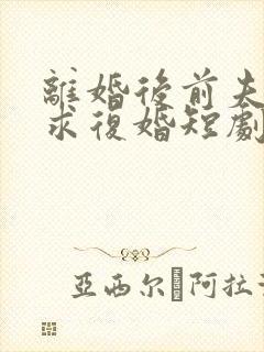 离婚后前夫哭着求复婚短剧