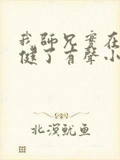 我师兄实在太稳健了有声小说免费