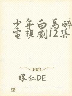 少年白马醉春风电视剧12集免费播放在线