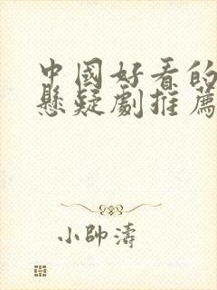 中国好看的破案悬疑剧推荐