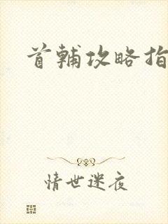 首辅攻略指南封面