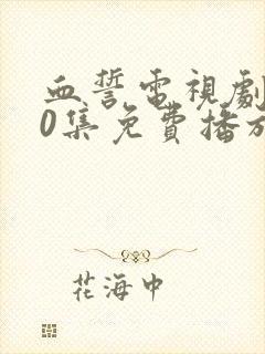 血誓电视剧全30集免费播放