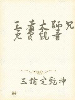 王者大师兄动漫免费观看