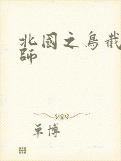 北国之鸟截运道师