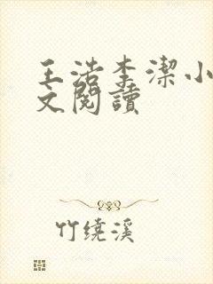 王浩李洁小说全文阅读