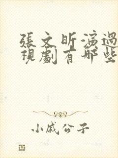 张文昕演过的电视剧有哪些封面