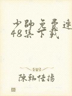 少帅免费连续剧48集下载