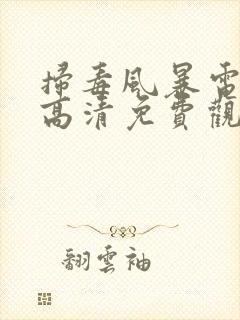 扫毒风暴电视剧高清免费观看全集