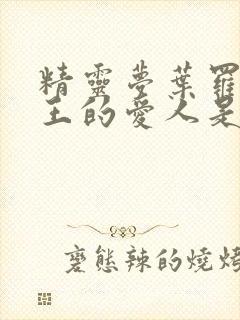 精灵梦叶罗丽世王的爱人是谁