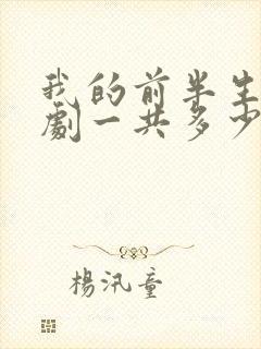 我的前半生电视剧一共多少集