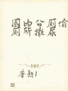 国内公厕偷拍女厕所撒尿