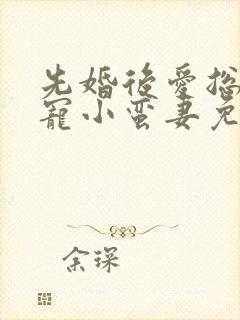 先婚后爱总裁娇宠小蛮妻免费阅读