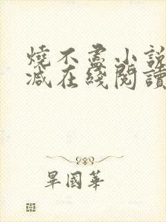 烧不尽小说无删减在线阅读