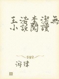 王浩李洁无删减小说阅读